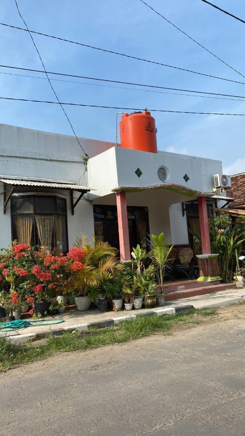 Owl Hostel 카리문자와 외부 사진